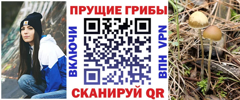 Псилоцибиновые грибы Psilocybe  цена наркотик  Куйбышев 